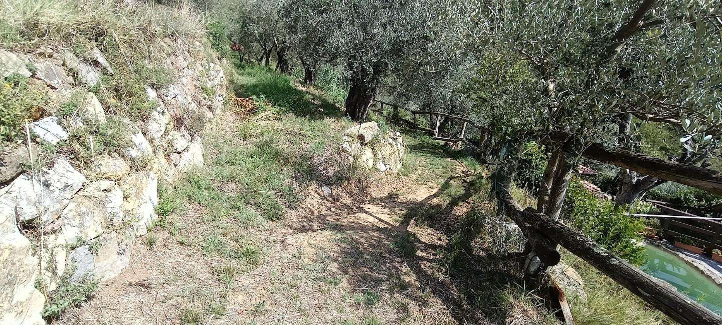  - foto 10