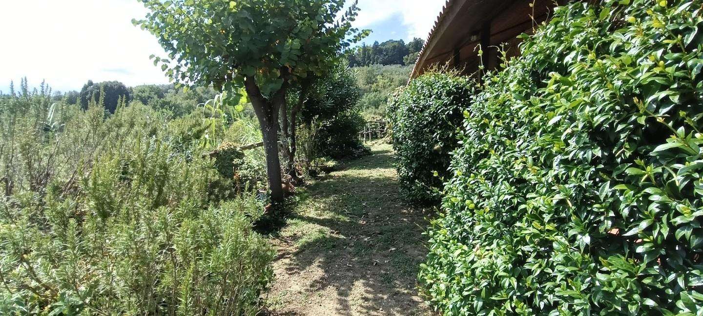  - foto 14