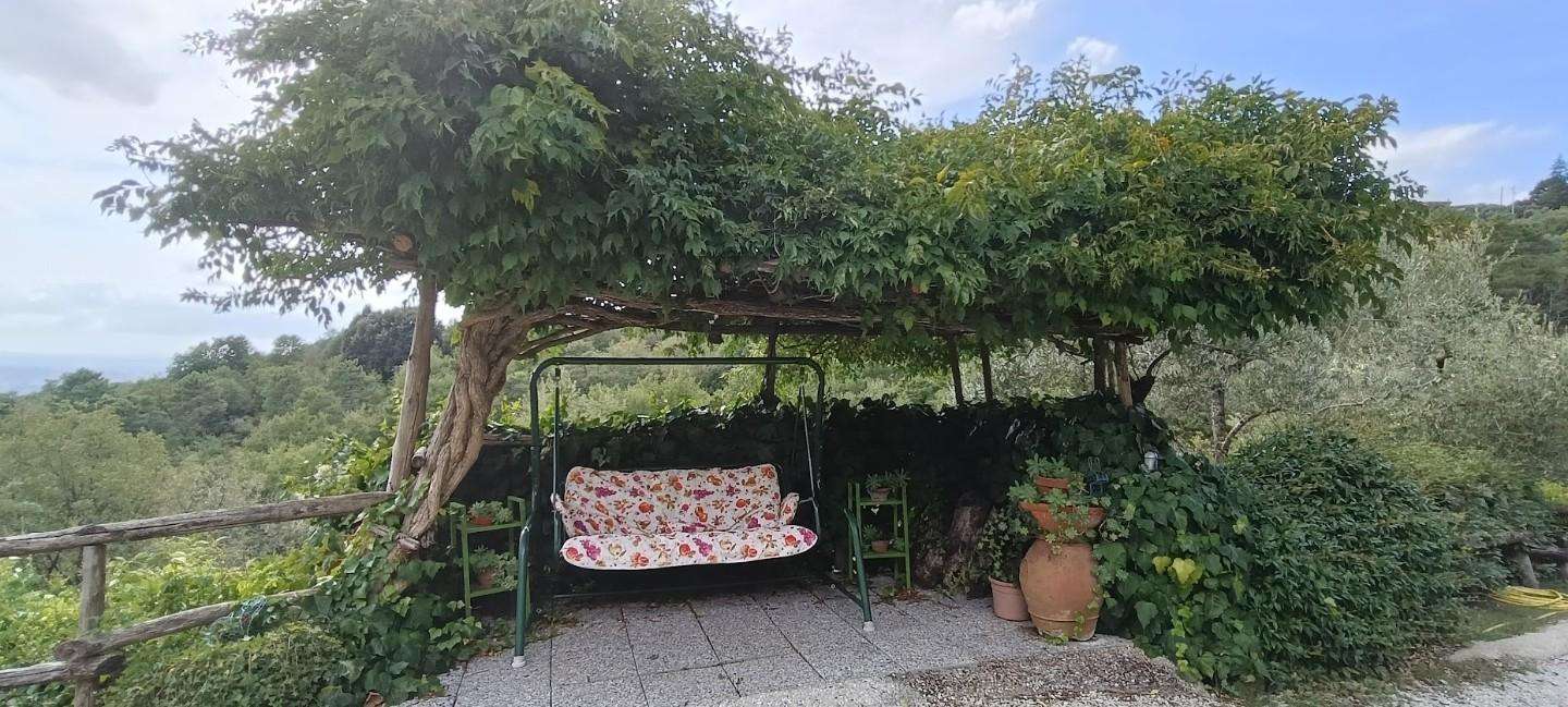  - foto 38