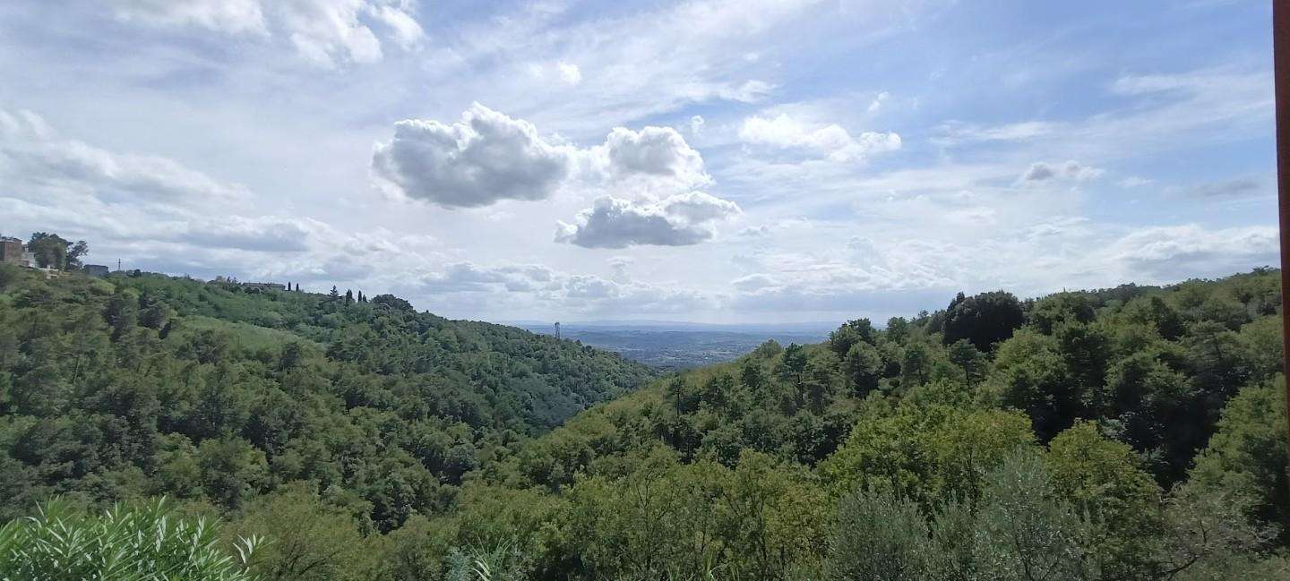  - foto 48