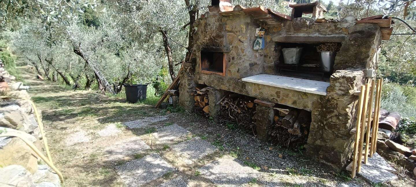  - foto 7