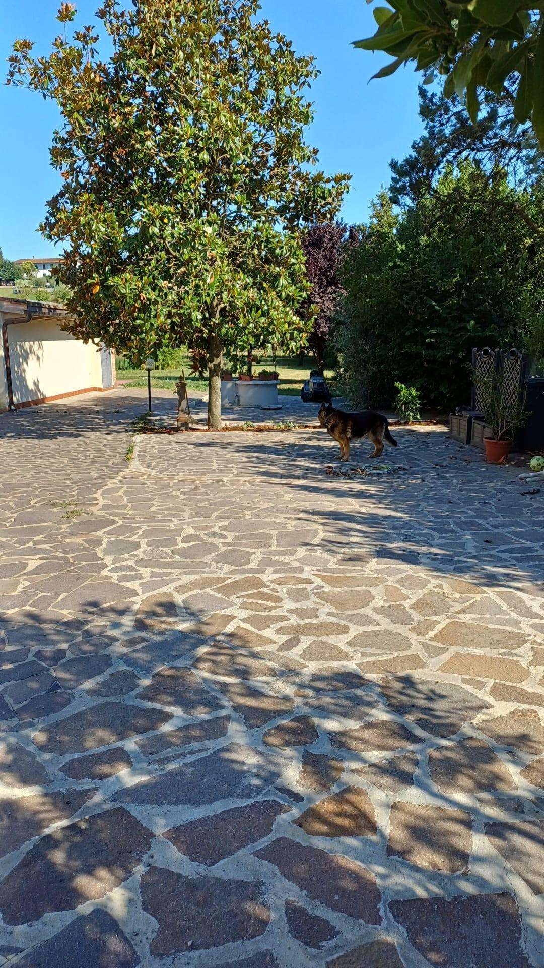  - foto 3