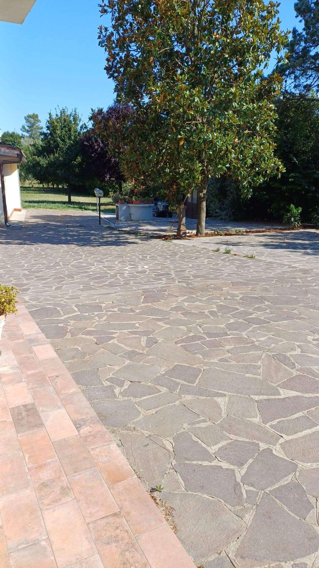  - foto 4
