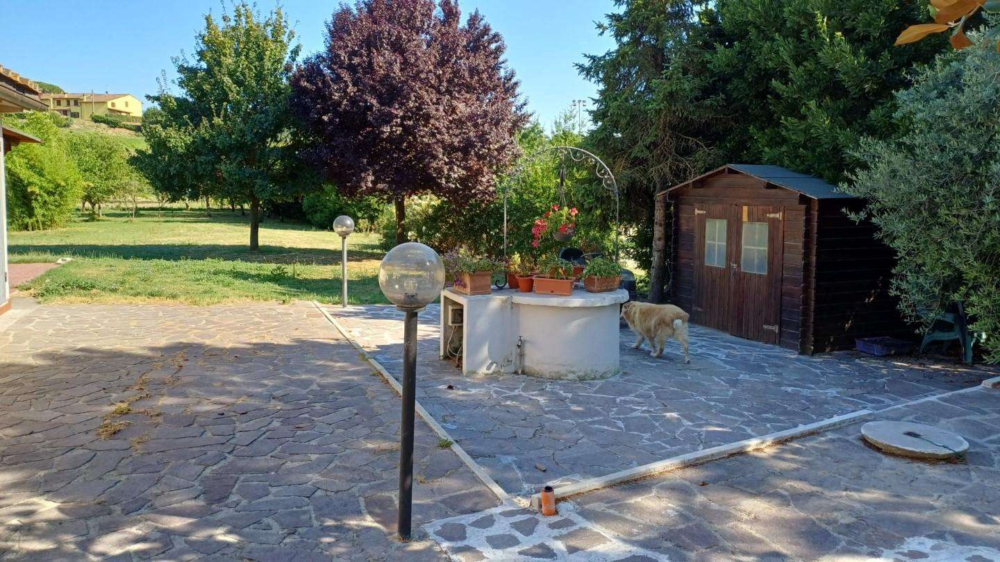  - foto 5