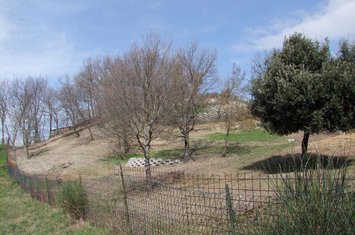  - foto 12