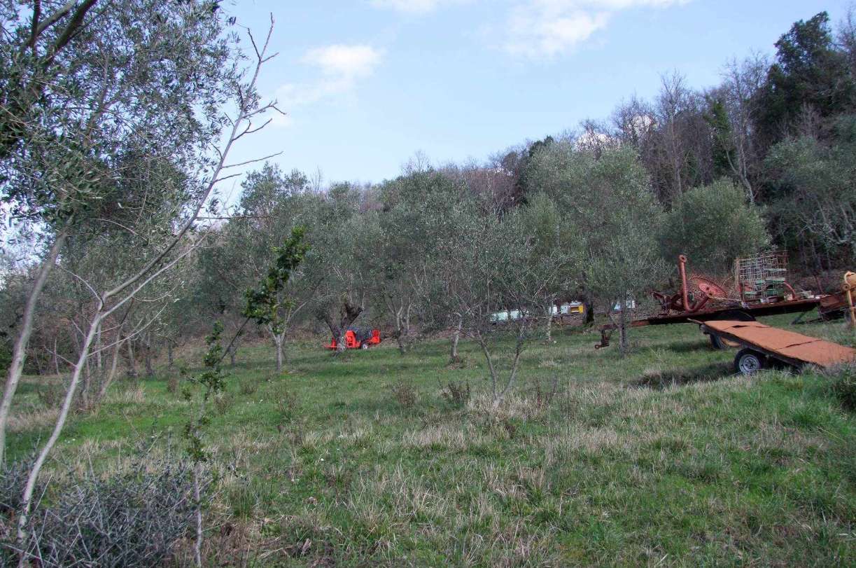  - foto 14