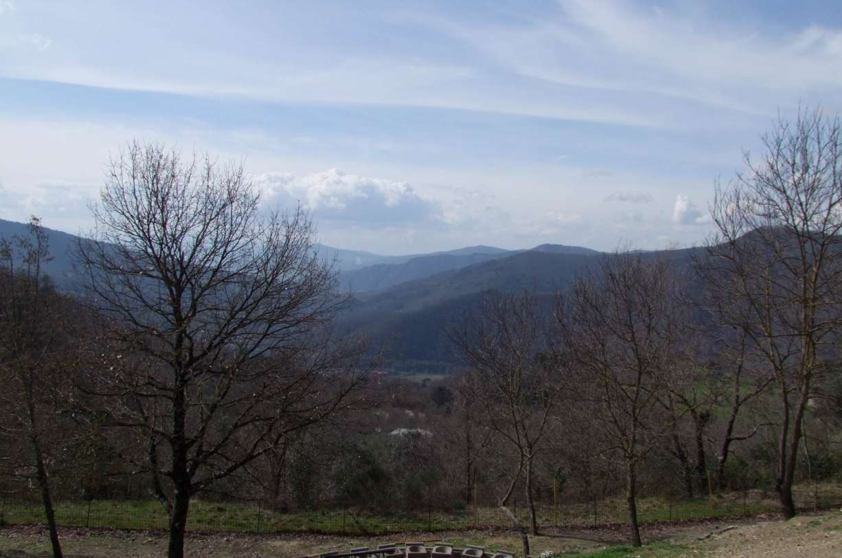  - foto 16