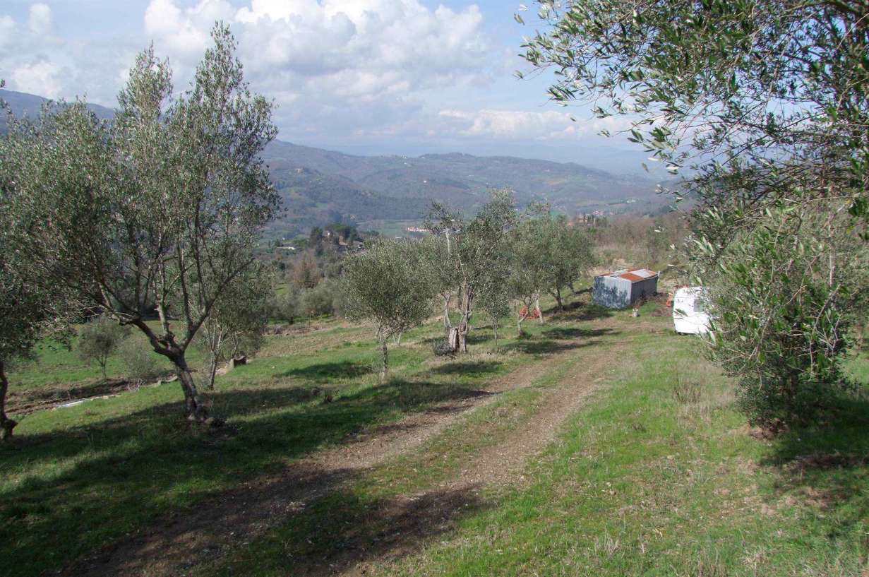  - foto 2