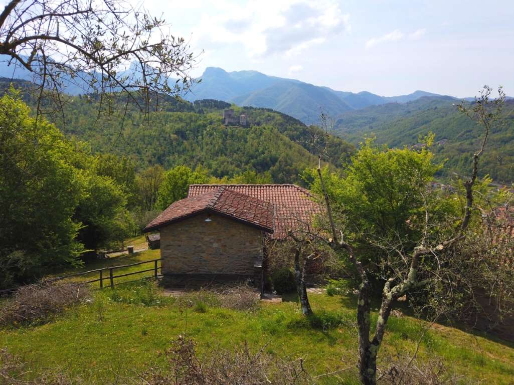  - foto 12
