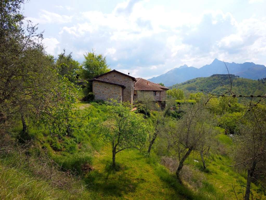  - foto 14