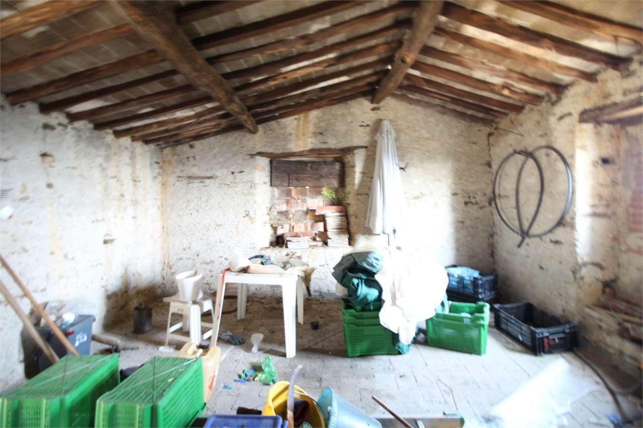  - foto 15