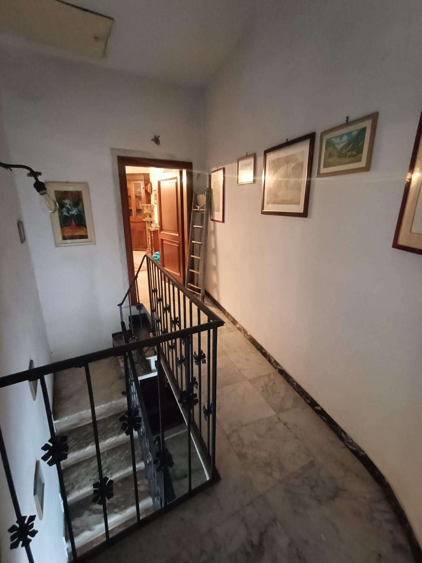  - foto 24