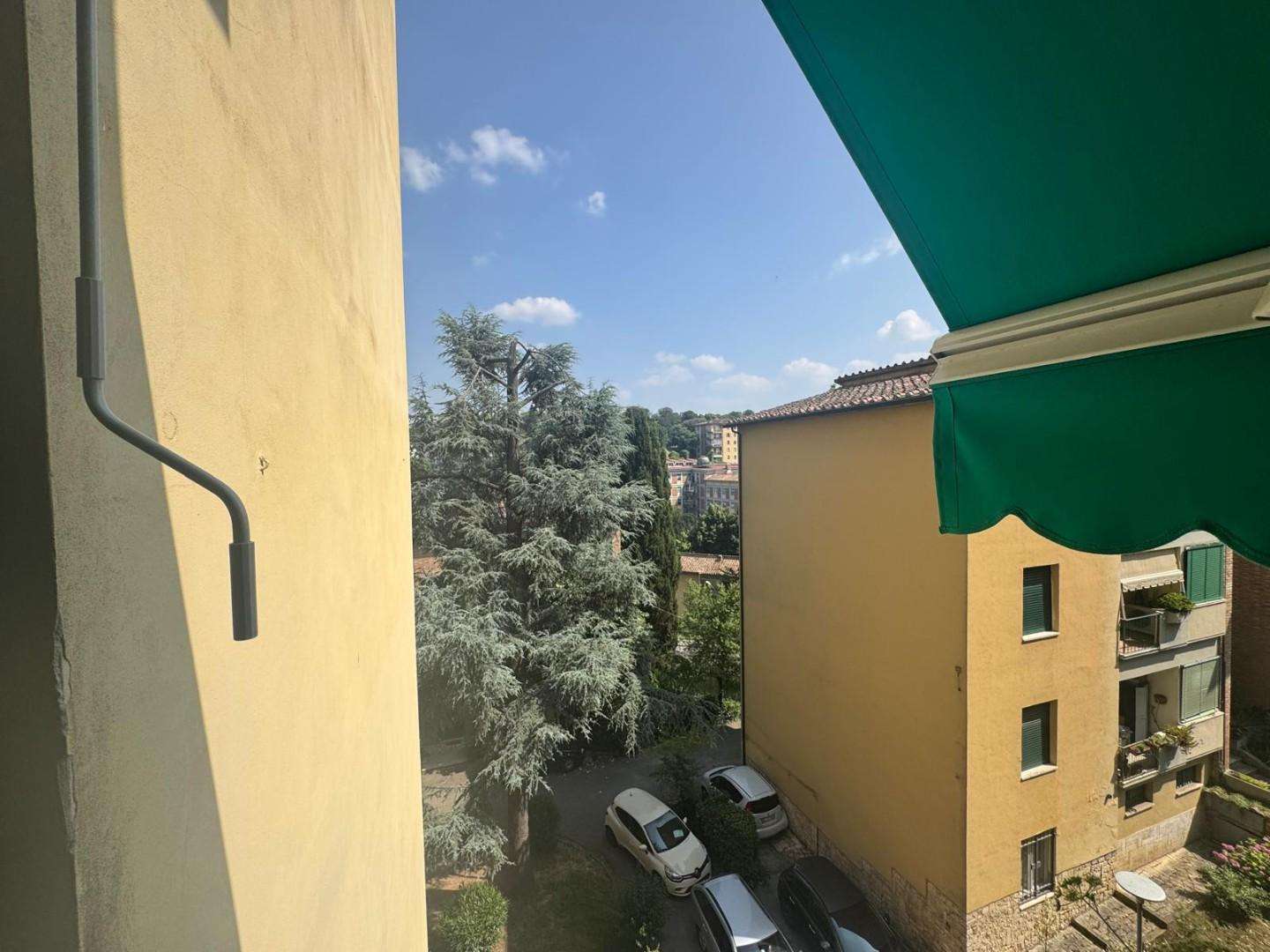  - foto 12