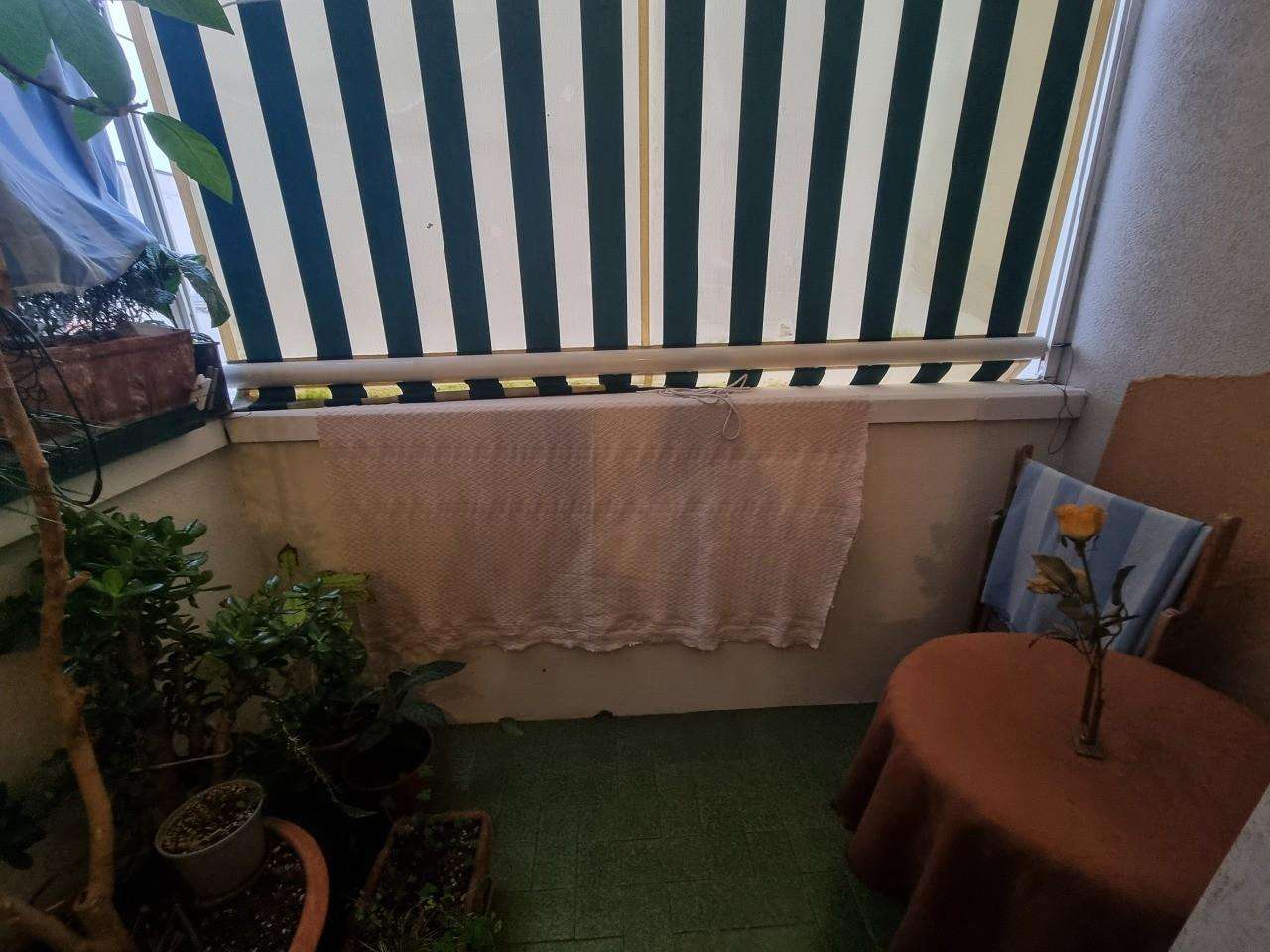  - foto 7