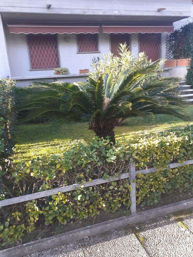  - foto 20