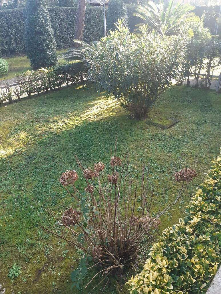  - foto 3