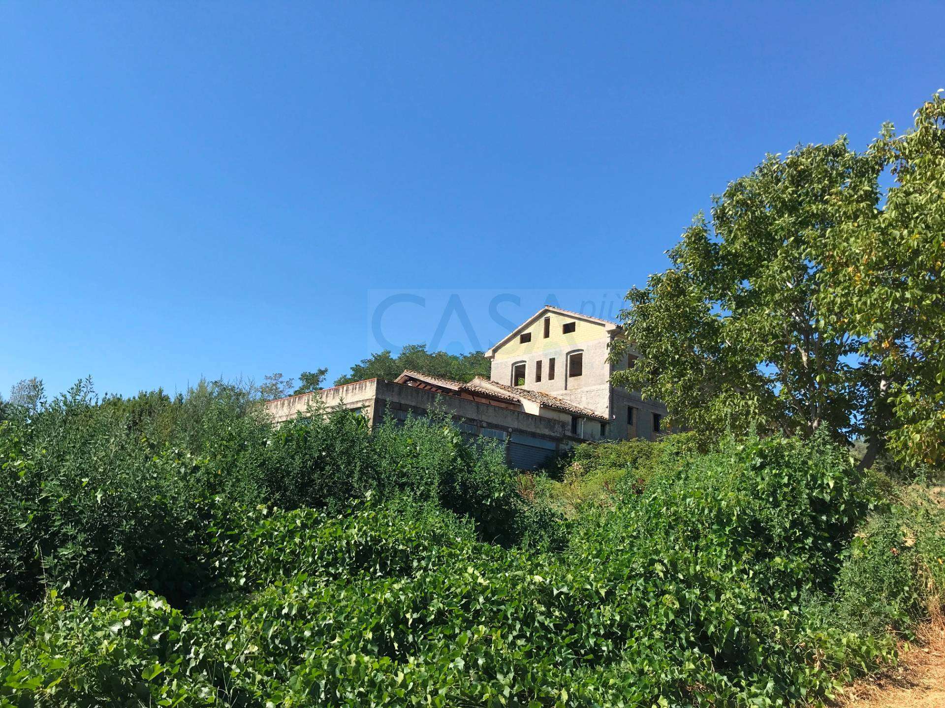  - foto 2