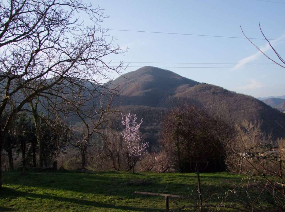 - foto 5
