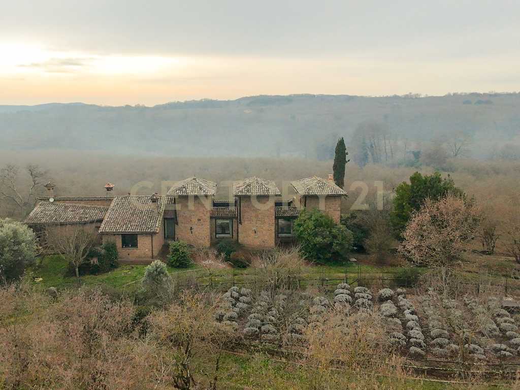  - foto 14