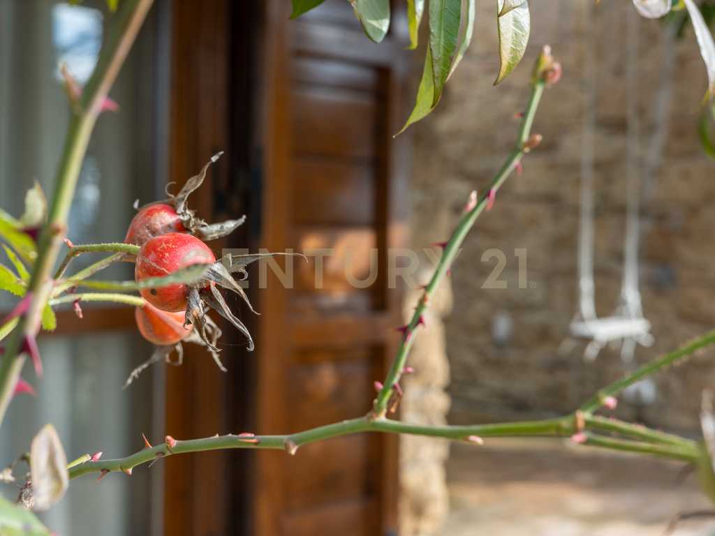  - foto 28