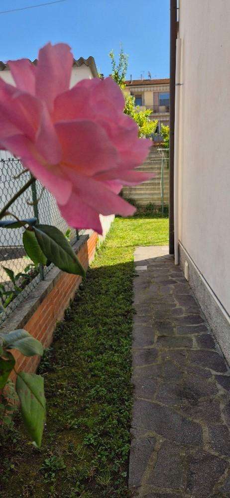  - foto 6