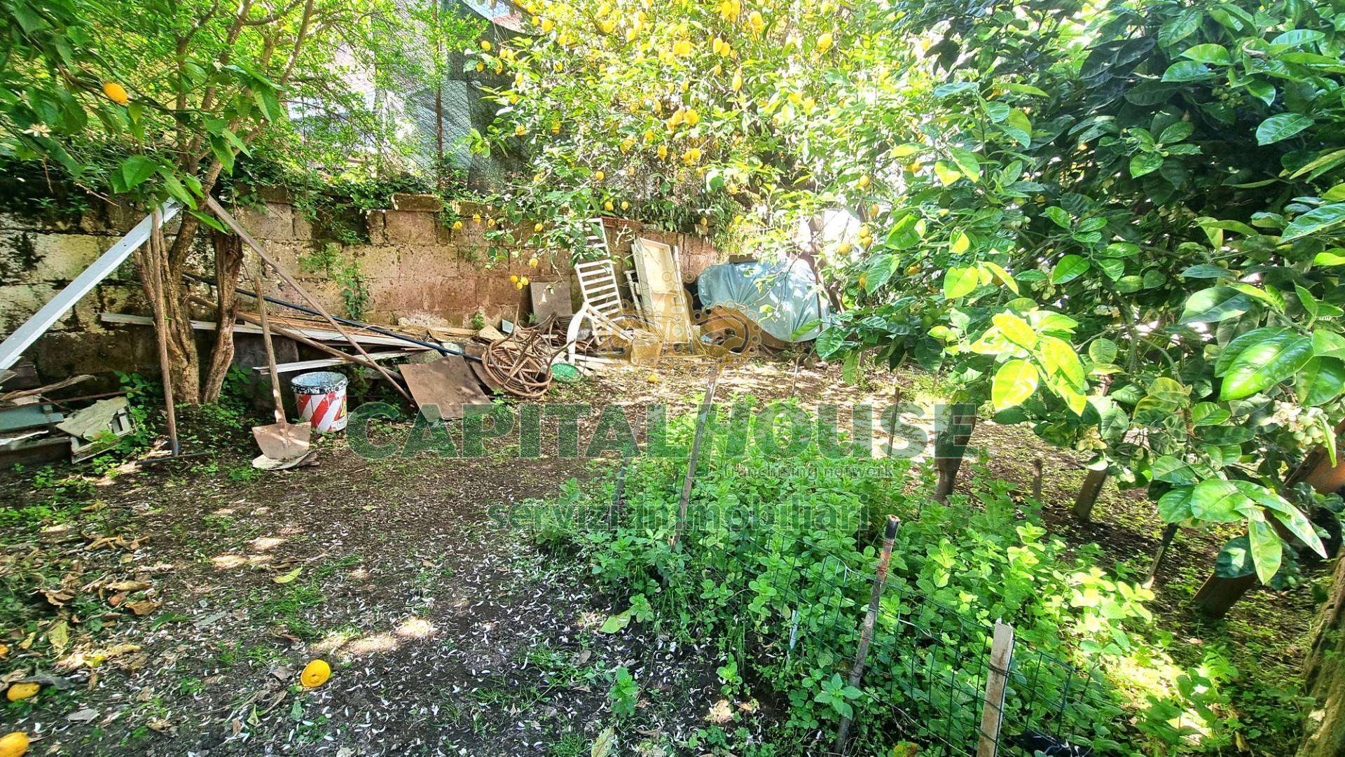  - foto 35