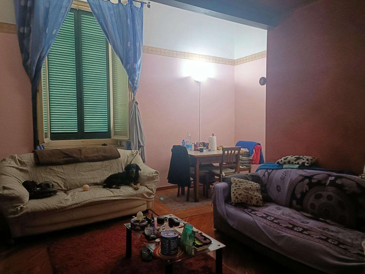  - foto 14