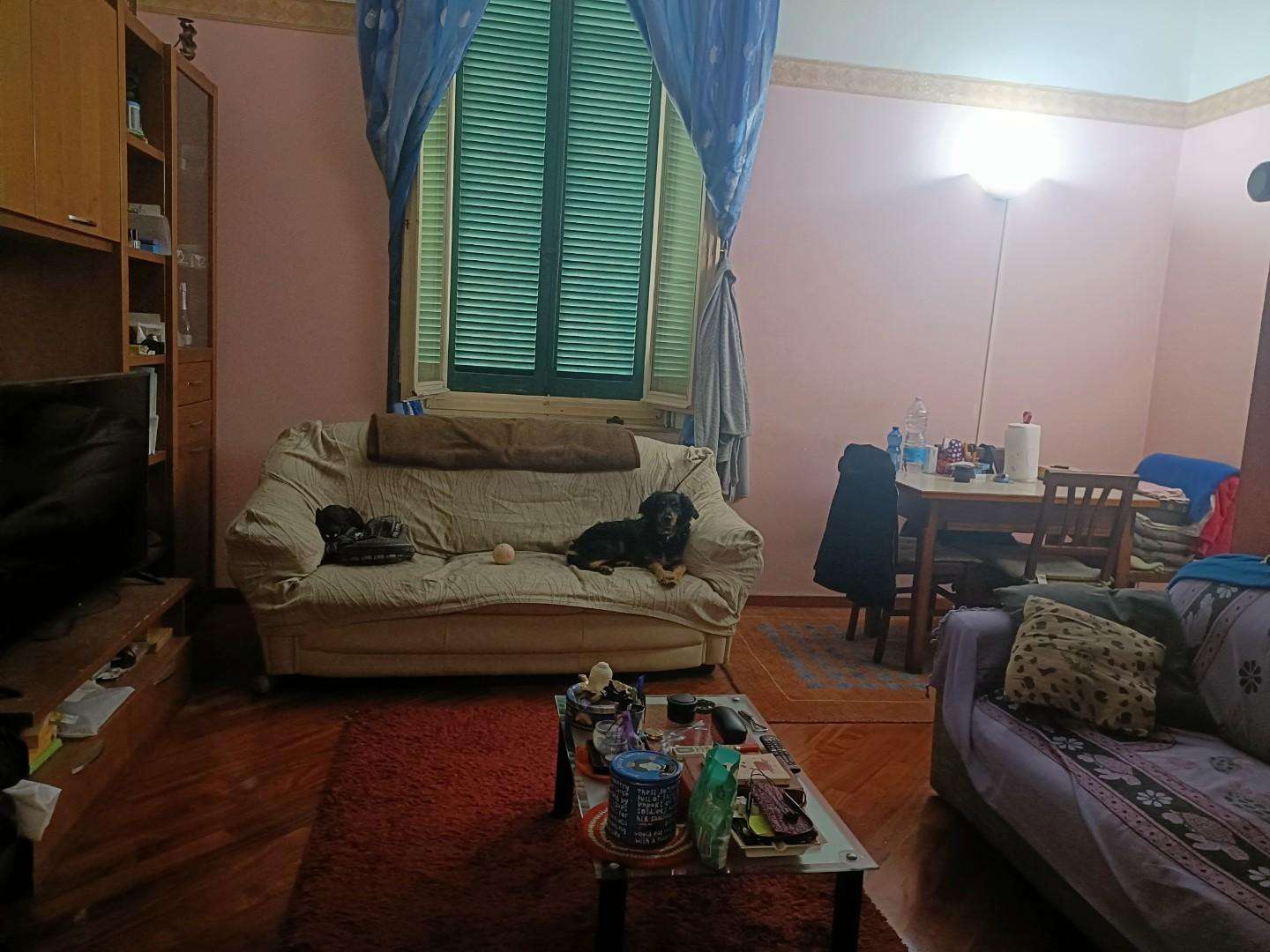  - foto 15