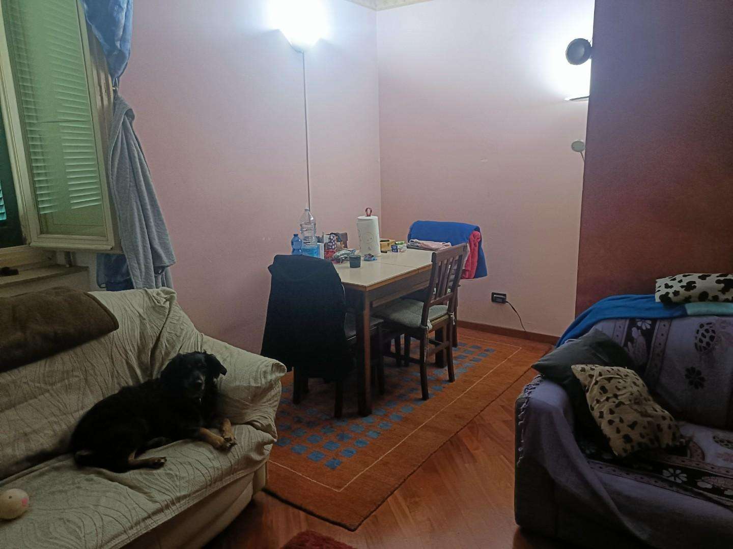  - foto 16