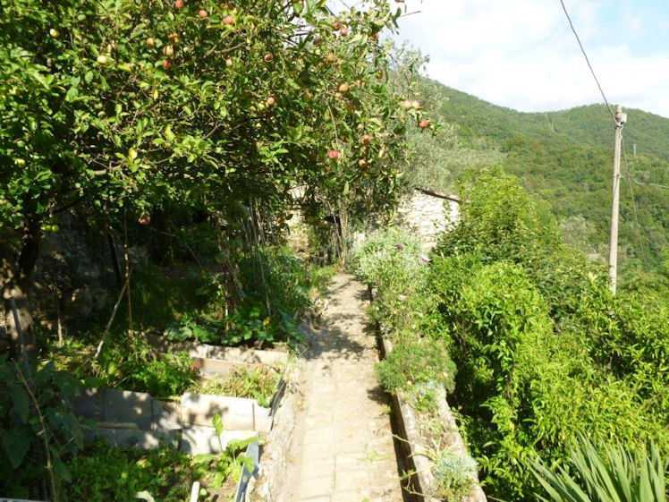  - foto 15