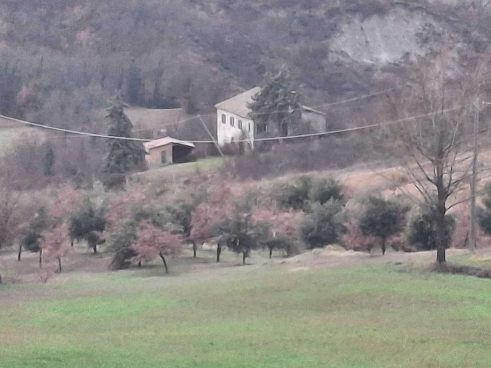  - foto 19