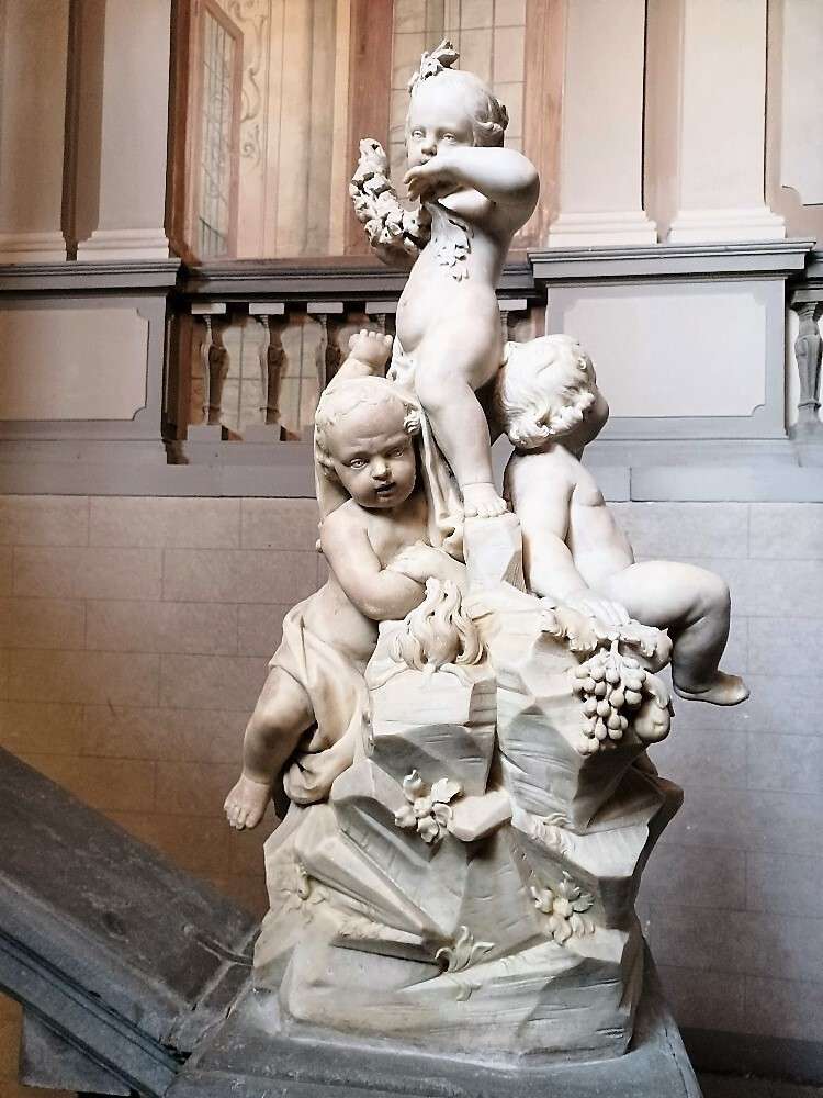  - foto 12