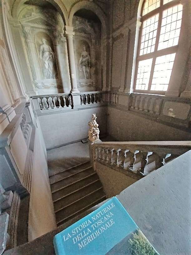  - foto 8