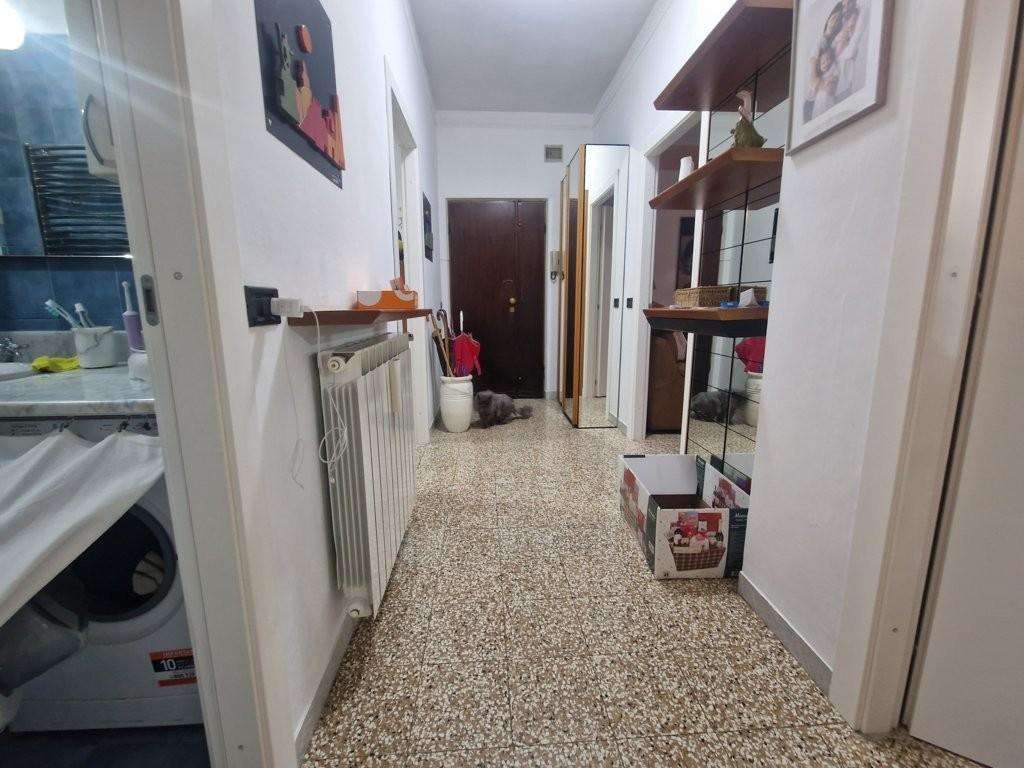  - foto 11