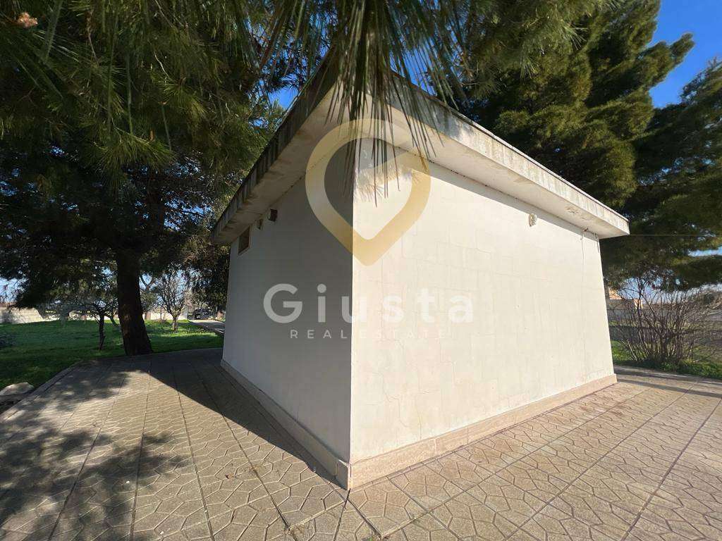  - foto 4