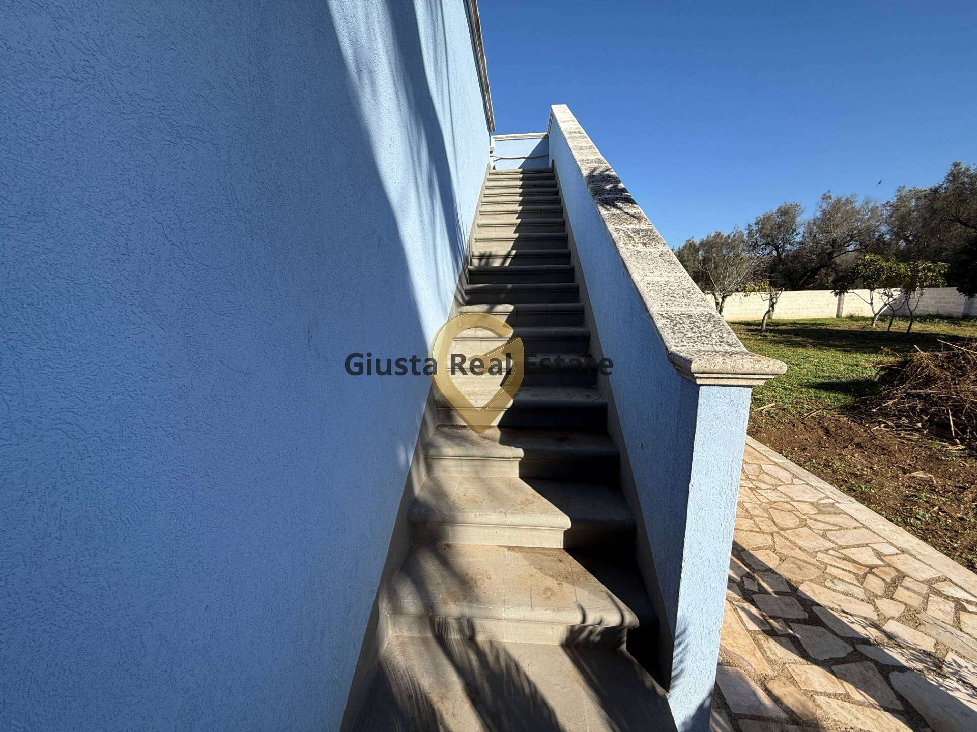  - foto 24