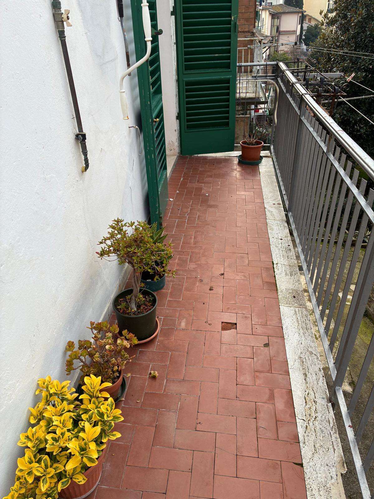  - foto 13