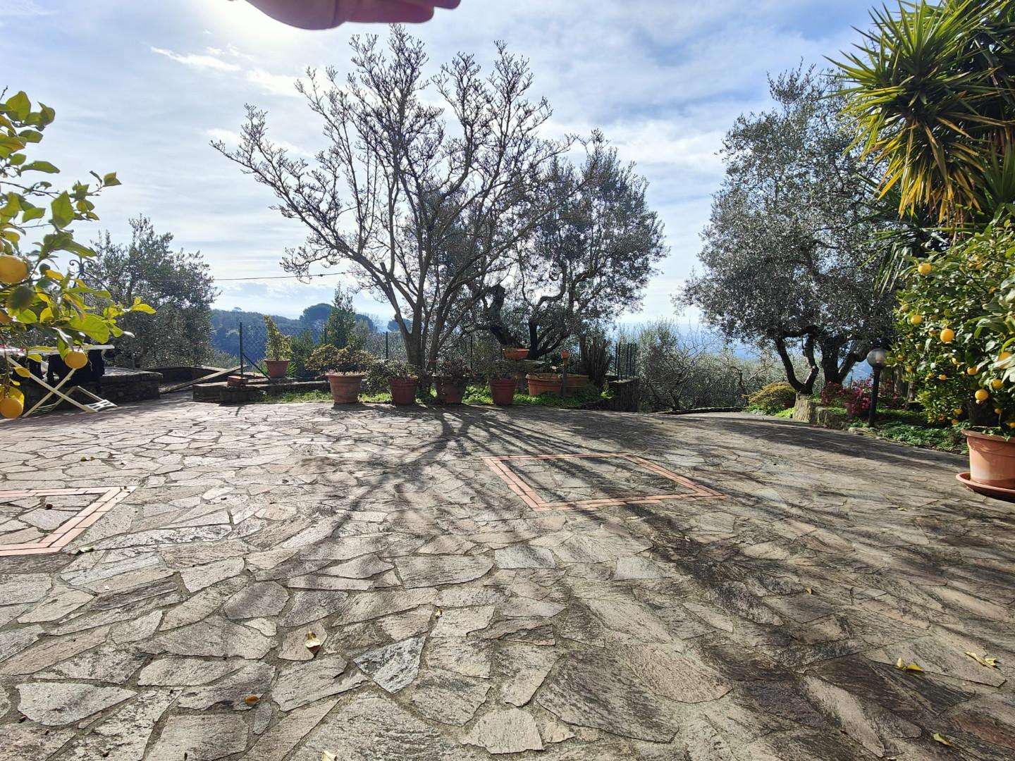  - foto 28