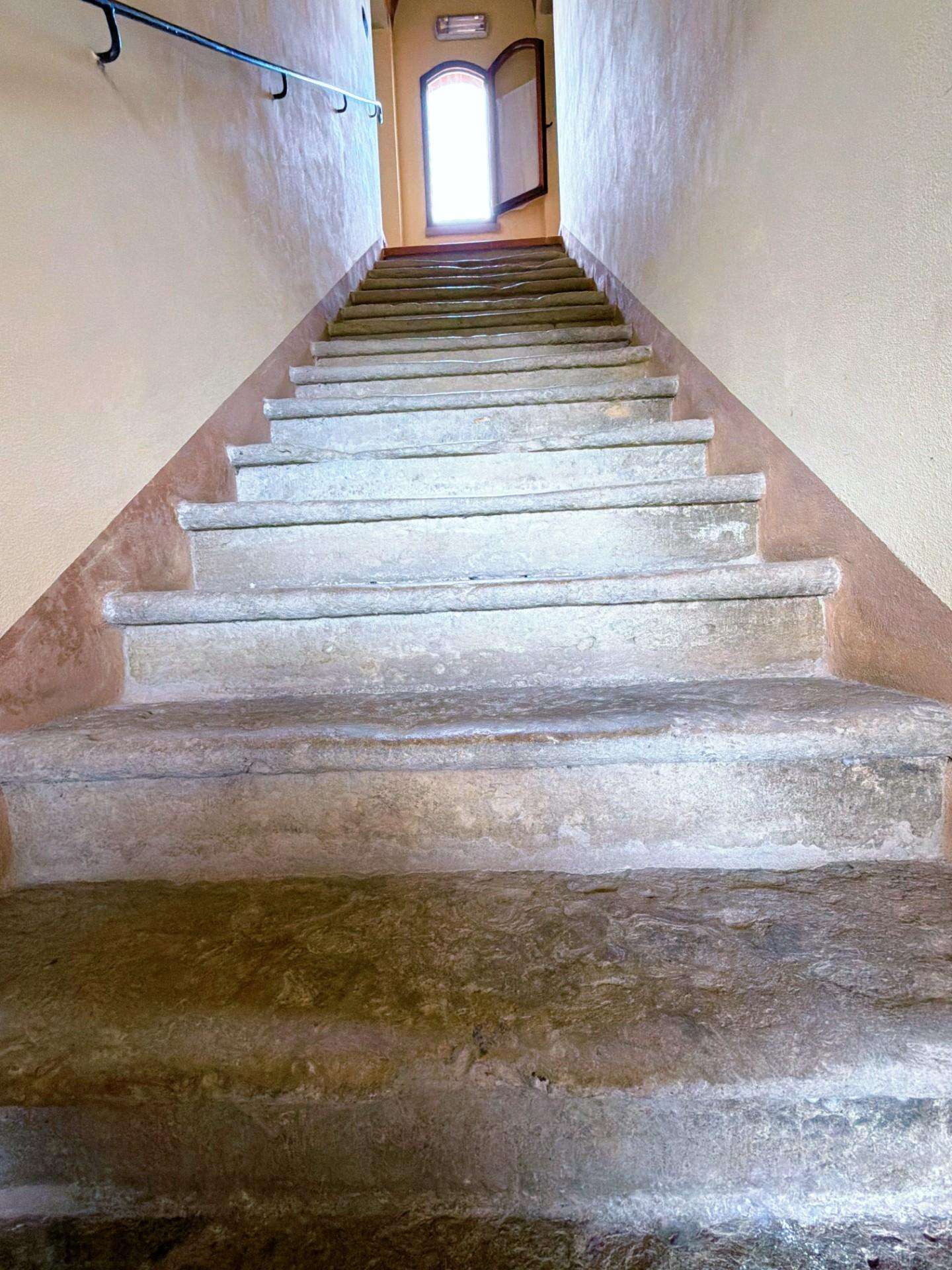  - foto 21