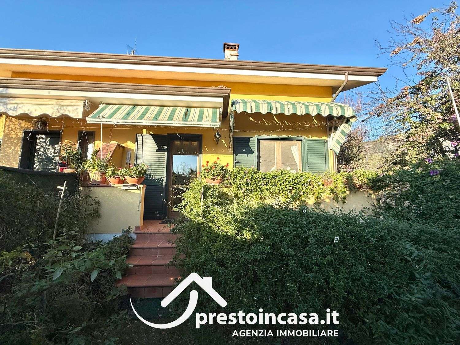  - foto 41