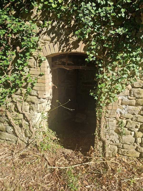  - foto 16