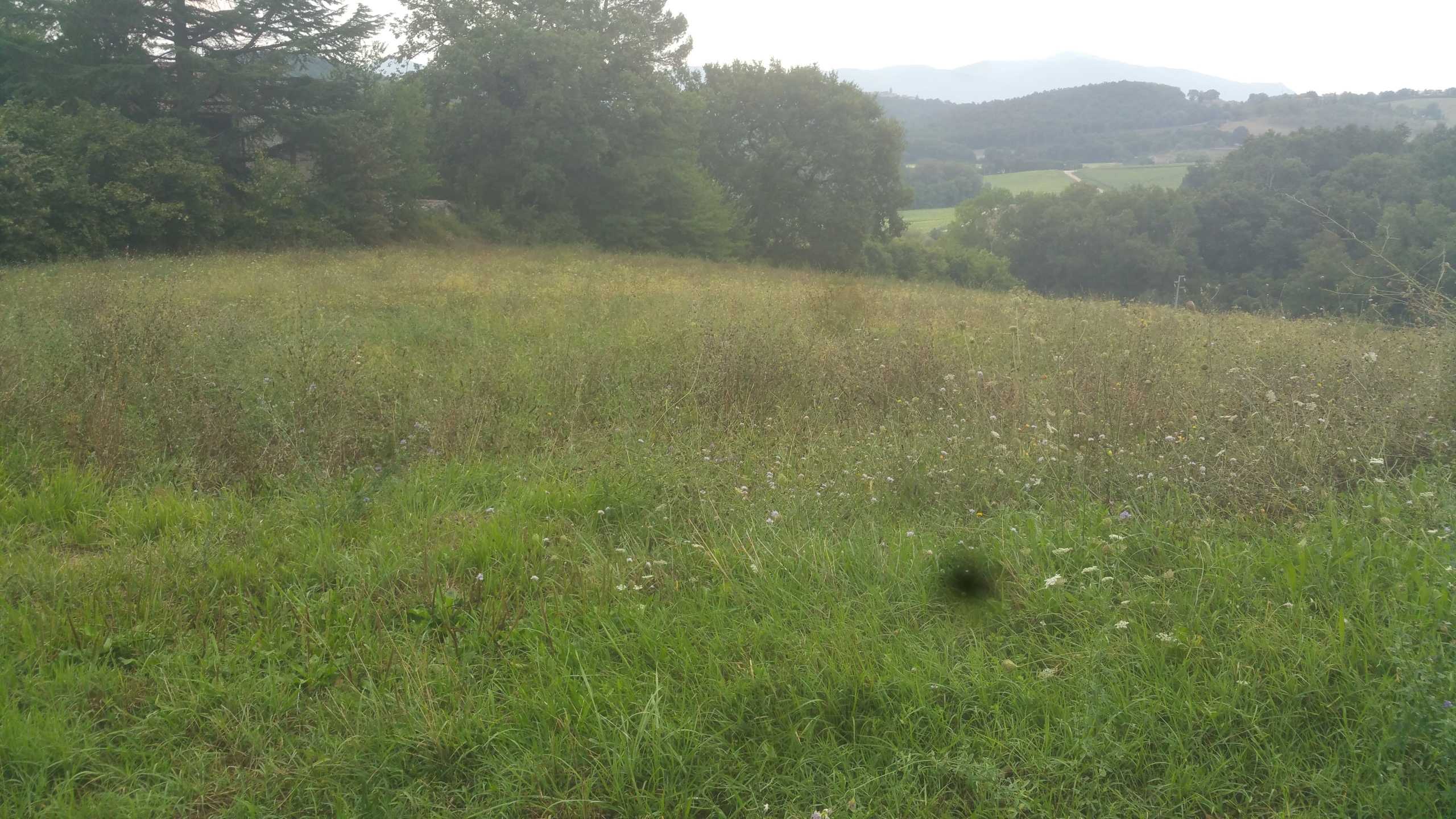  - foto 35