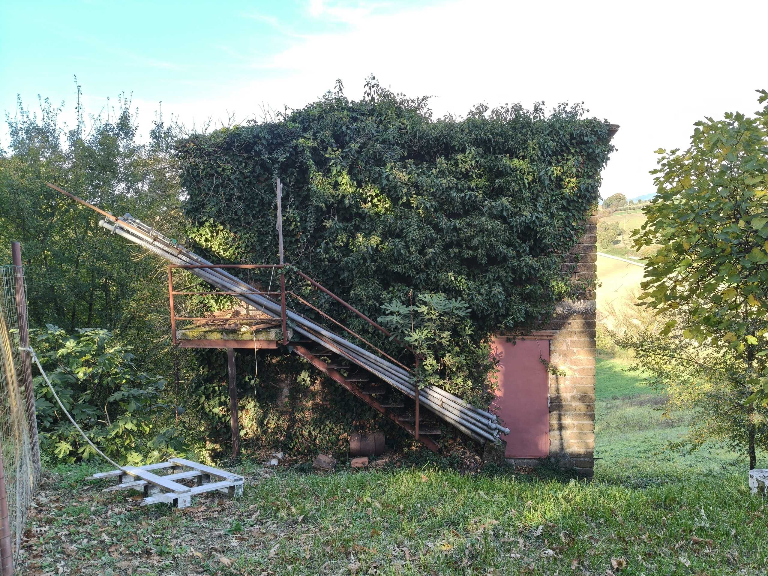  - foto 39
