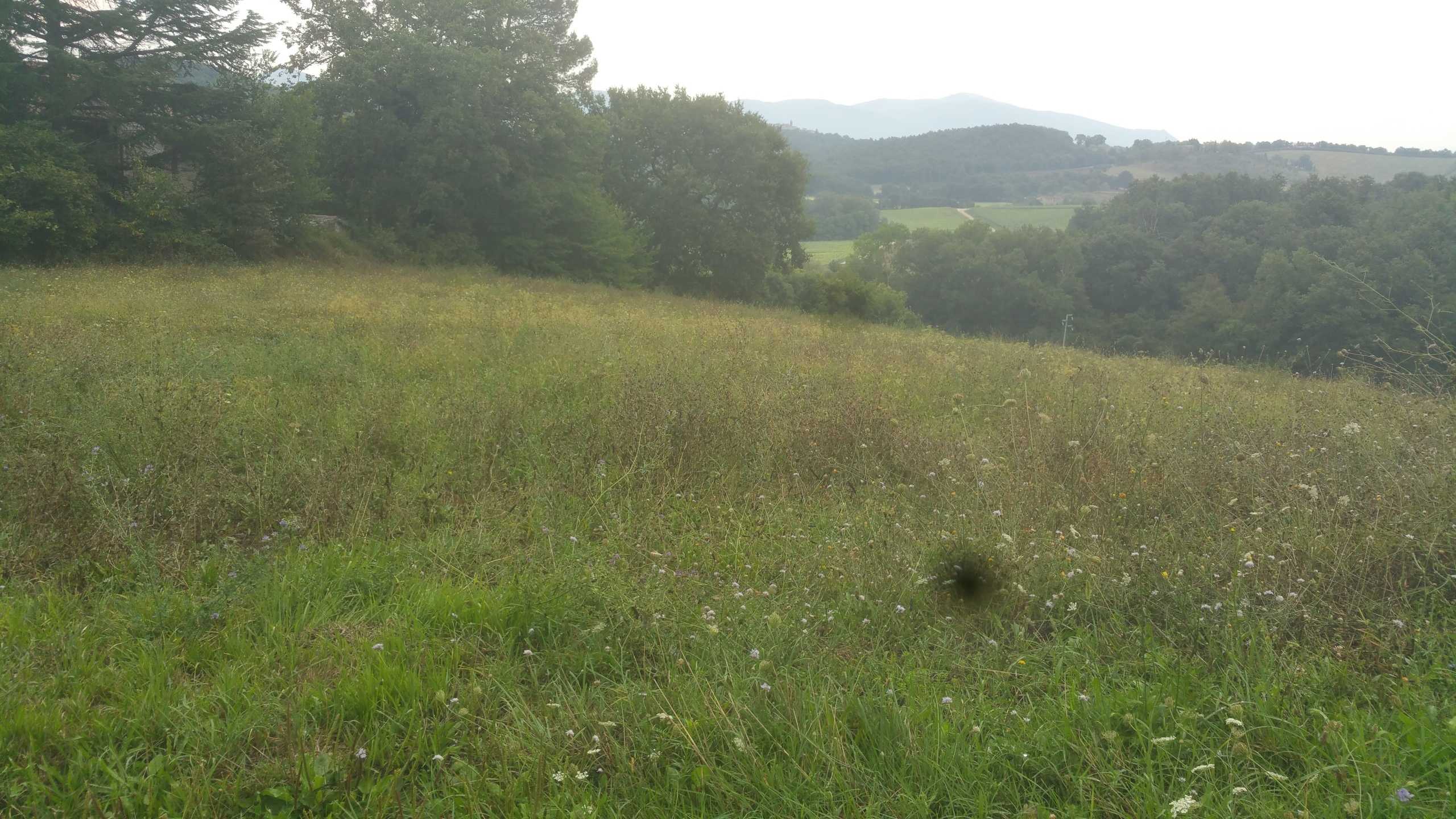 - foto 4