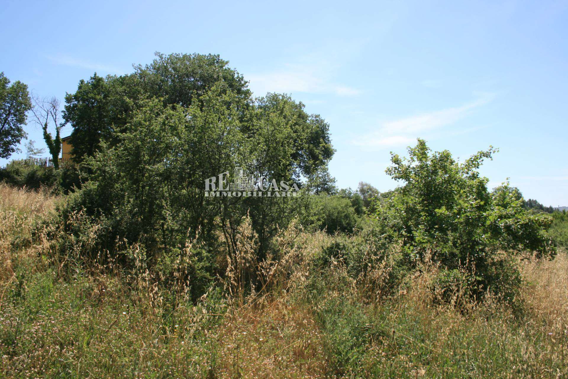  - foto 13