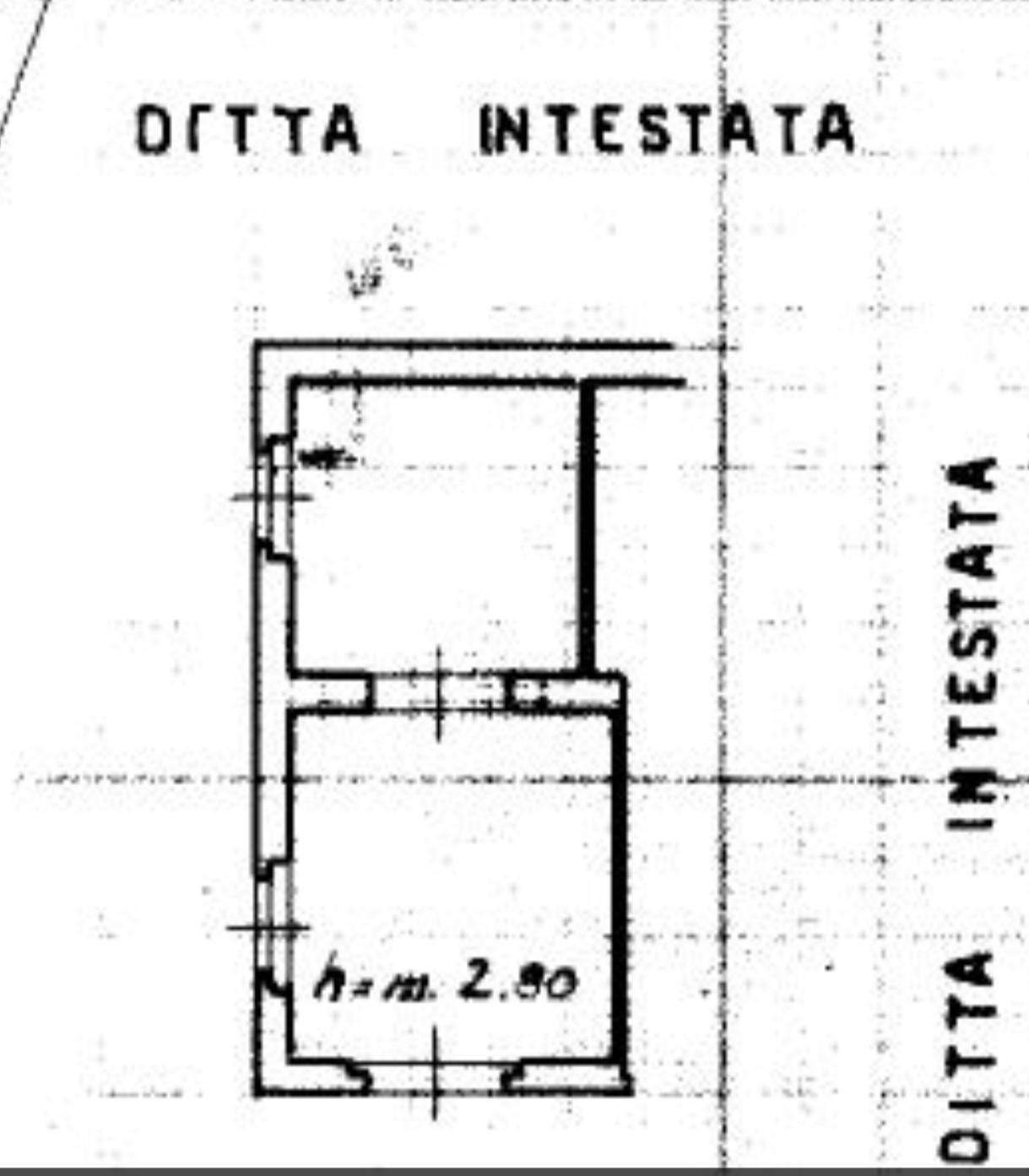  - foto 11