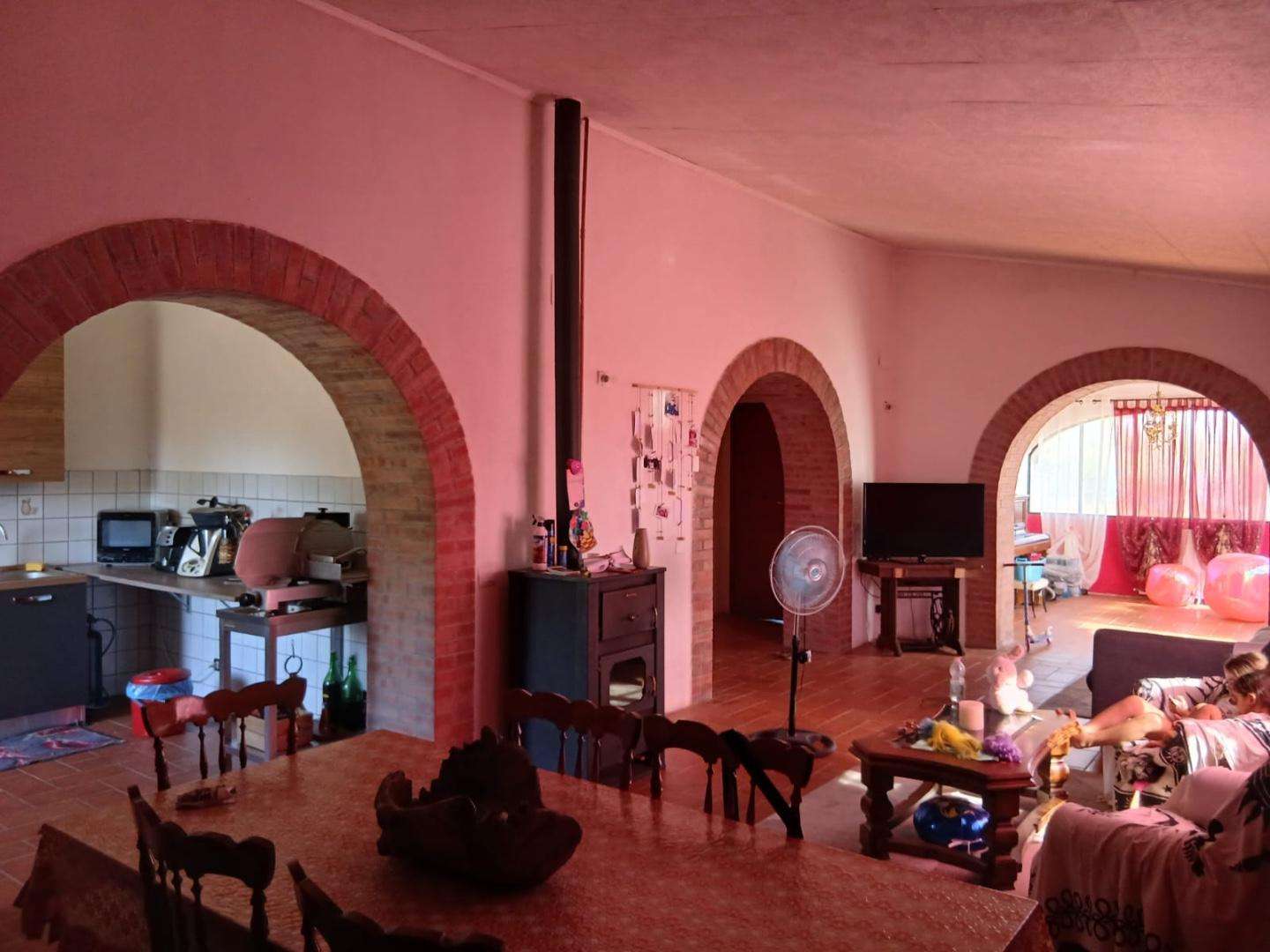  - foto 14