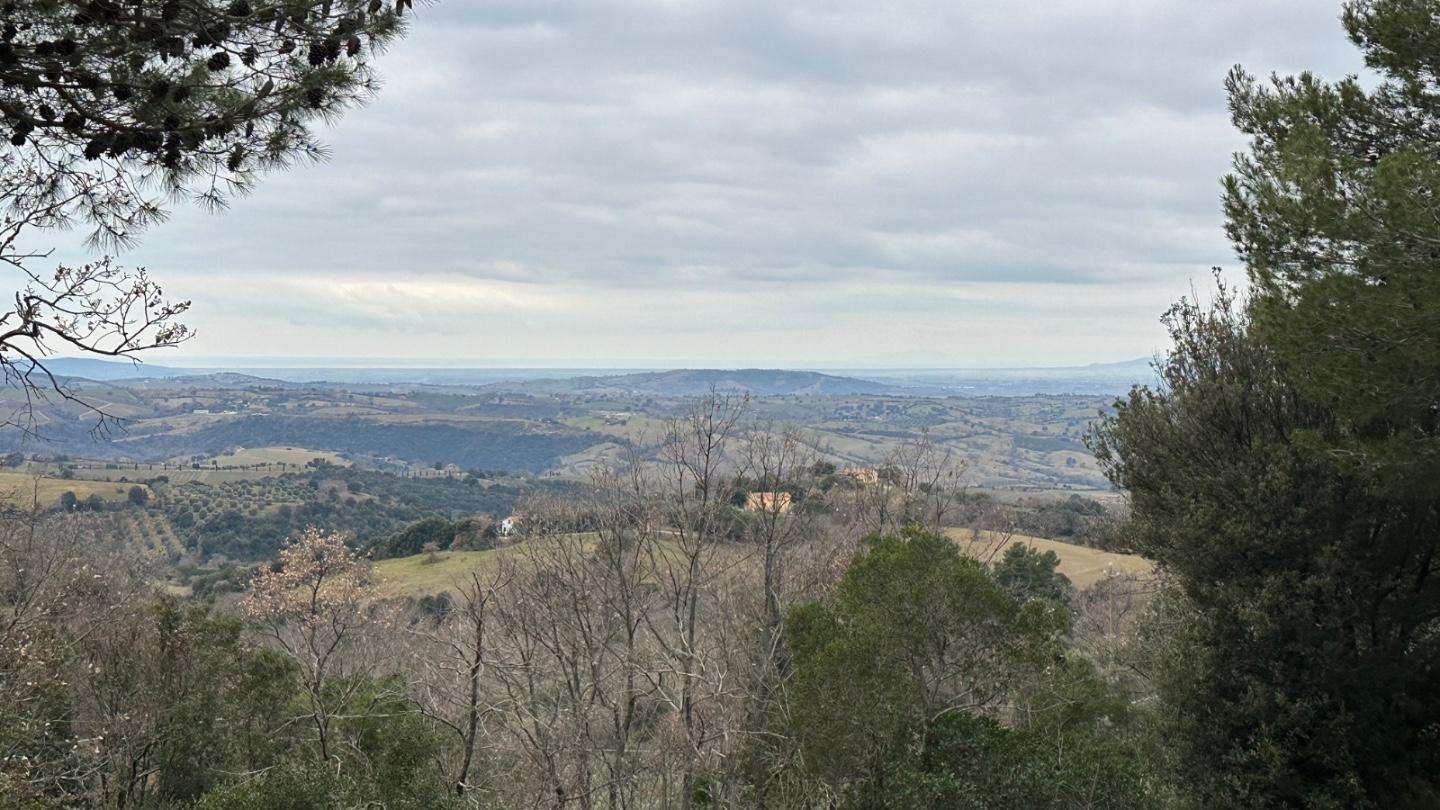 Terreno agricolo Località Zufolaio,, Scansano