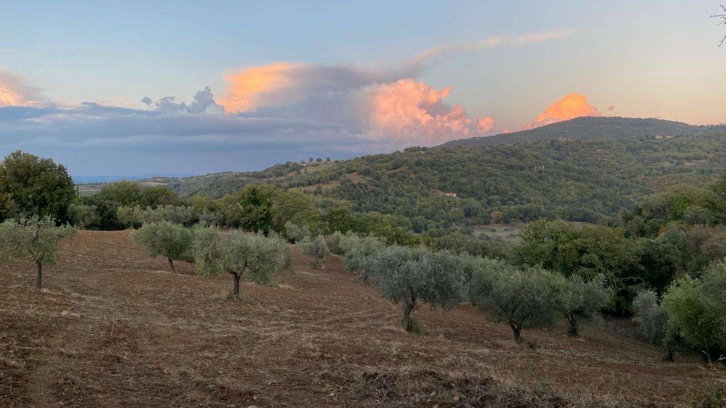  - foto 4