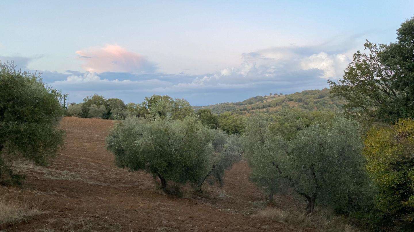  - foto 6